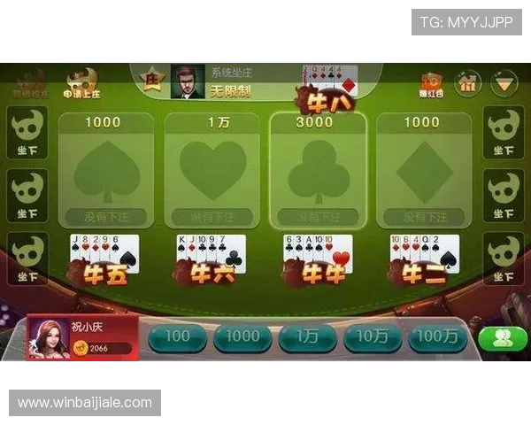 深入了解百家乐玩法规则与投注技巧实现持续赢利目标